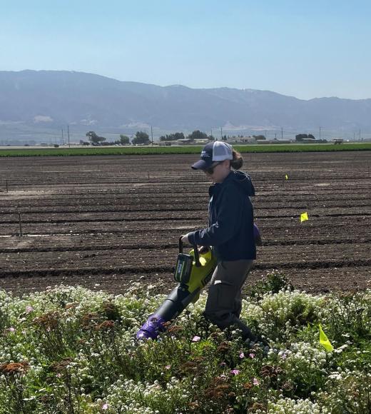 A person using a garden tool in a field with mountains in the background.