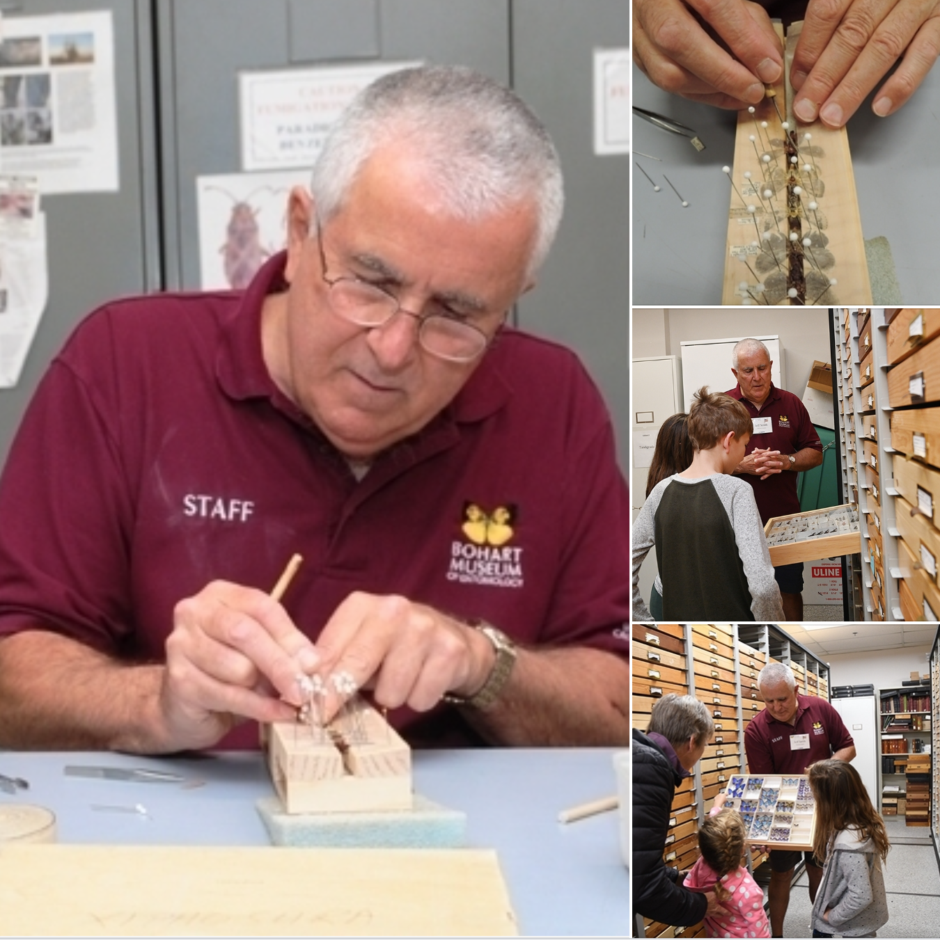 Jeff Smith, curator of the Bohart Museum's Lepidoptera collection