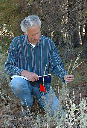 UC Davis distinguished professor Rick Karban doing plant communication research