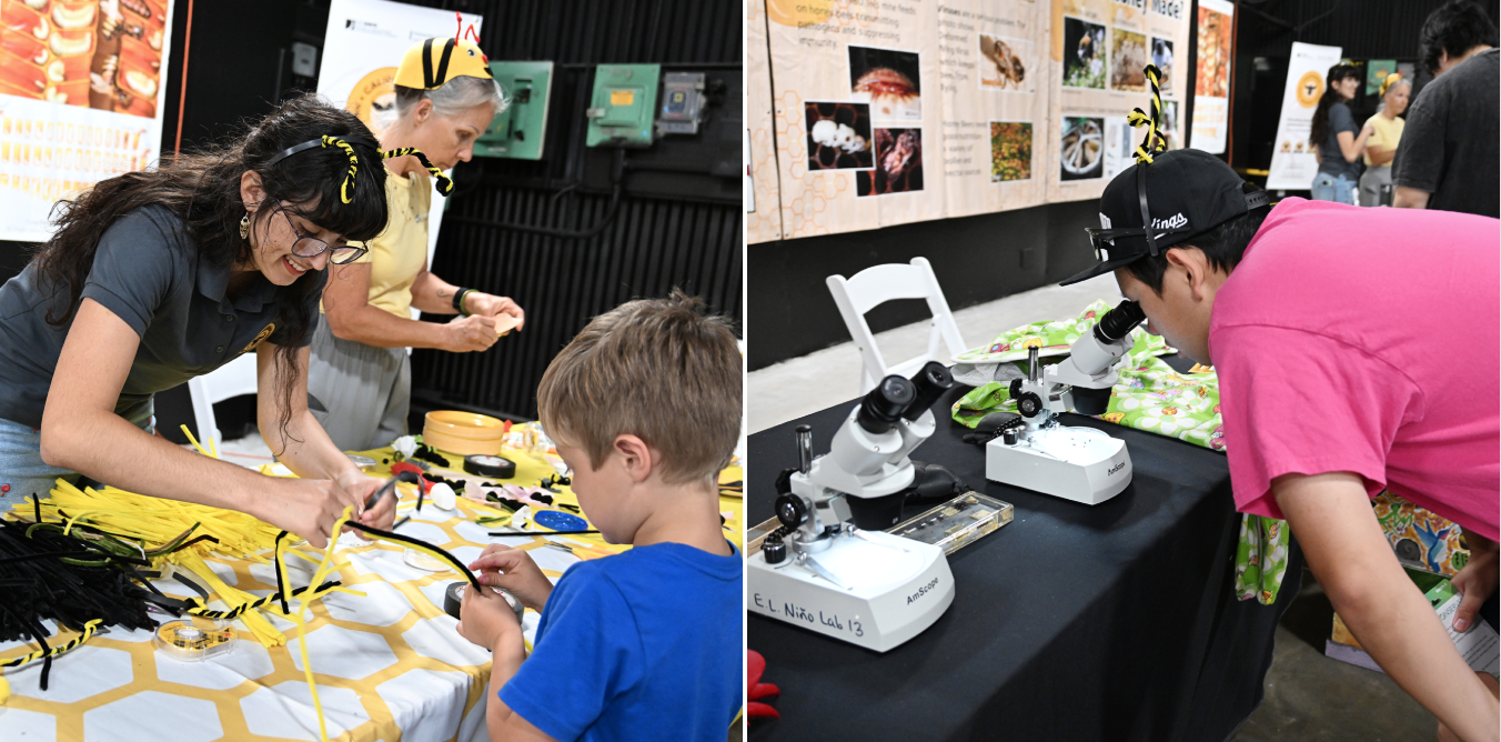 Science fair booths: volunteer helping child with crafts; visitor examining microscopes