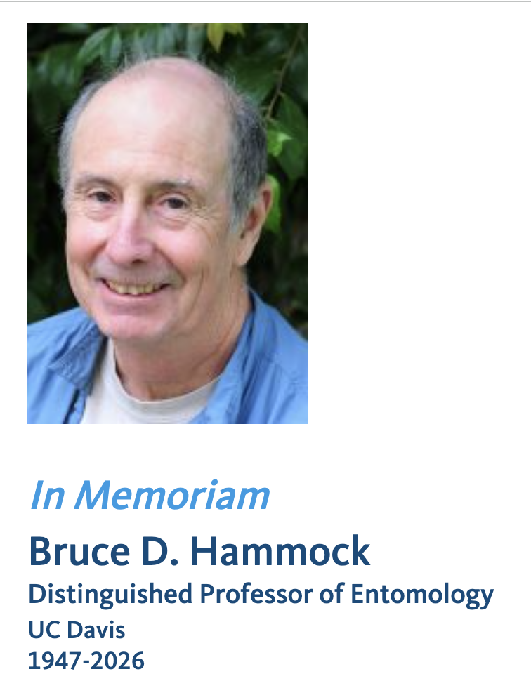Bruce Hammock in blue shirt, headshot against leafy green backgroundk