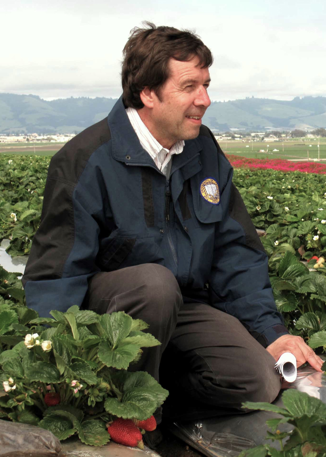 UC Davis distinguished professor emeritus Frank Zalom