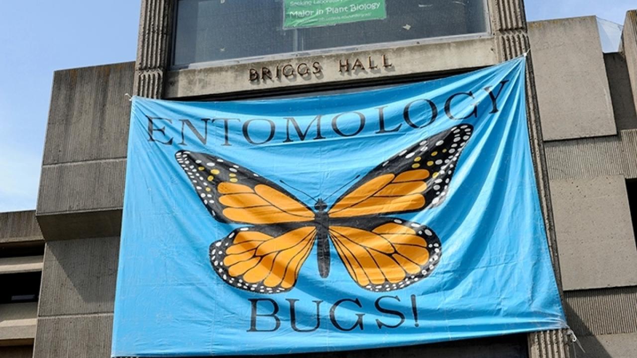 Monarch banner at Briggs Hall