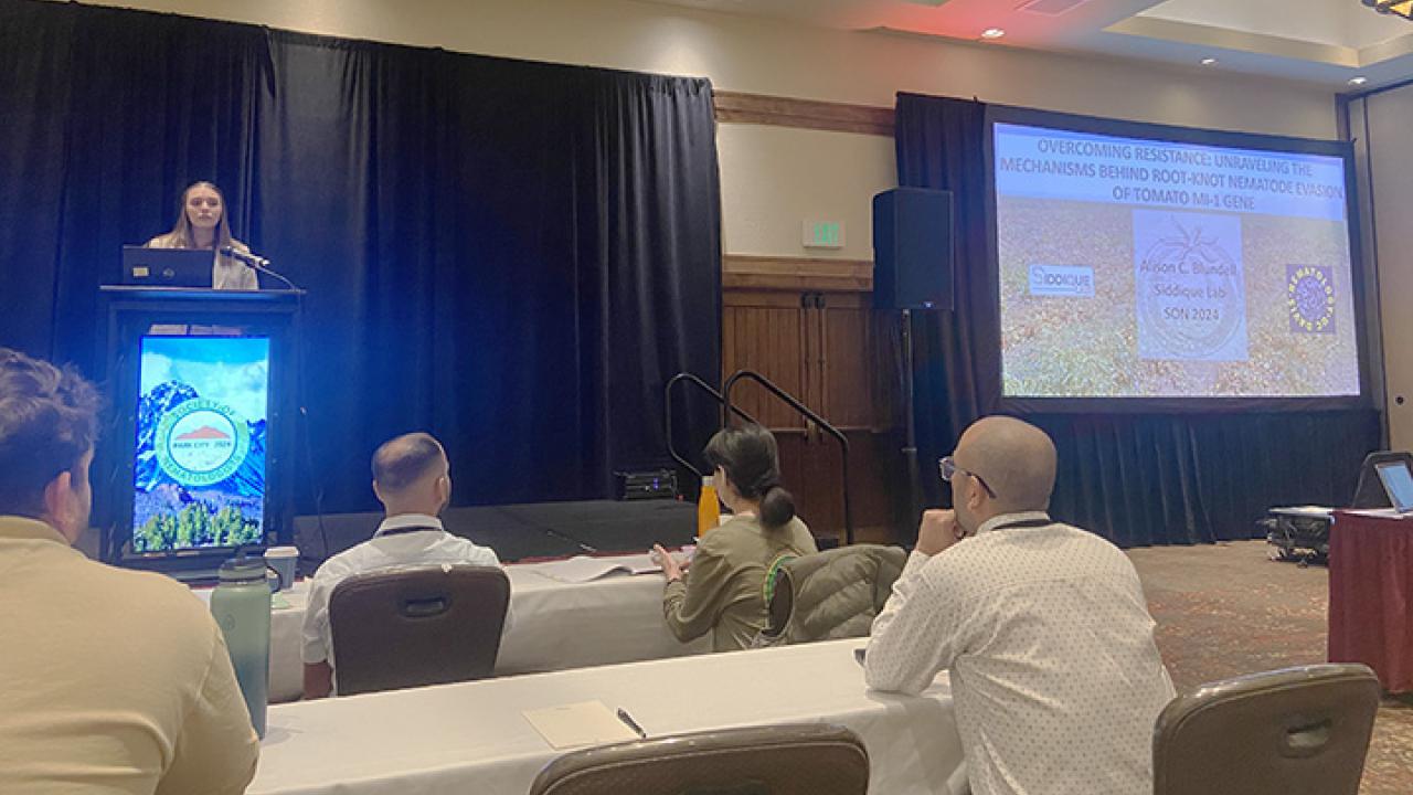 Doctoral candidate Alison Blundell delivering her award-winning presentation in the 12-minute student competition at the international Society of Nematologists. She won second place. (Photo by Veronica Casey)