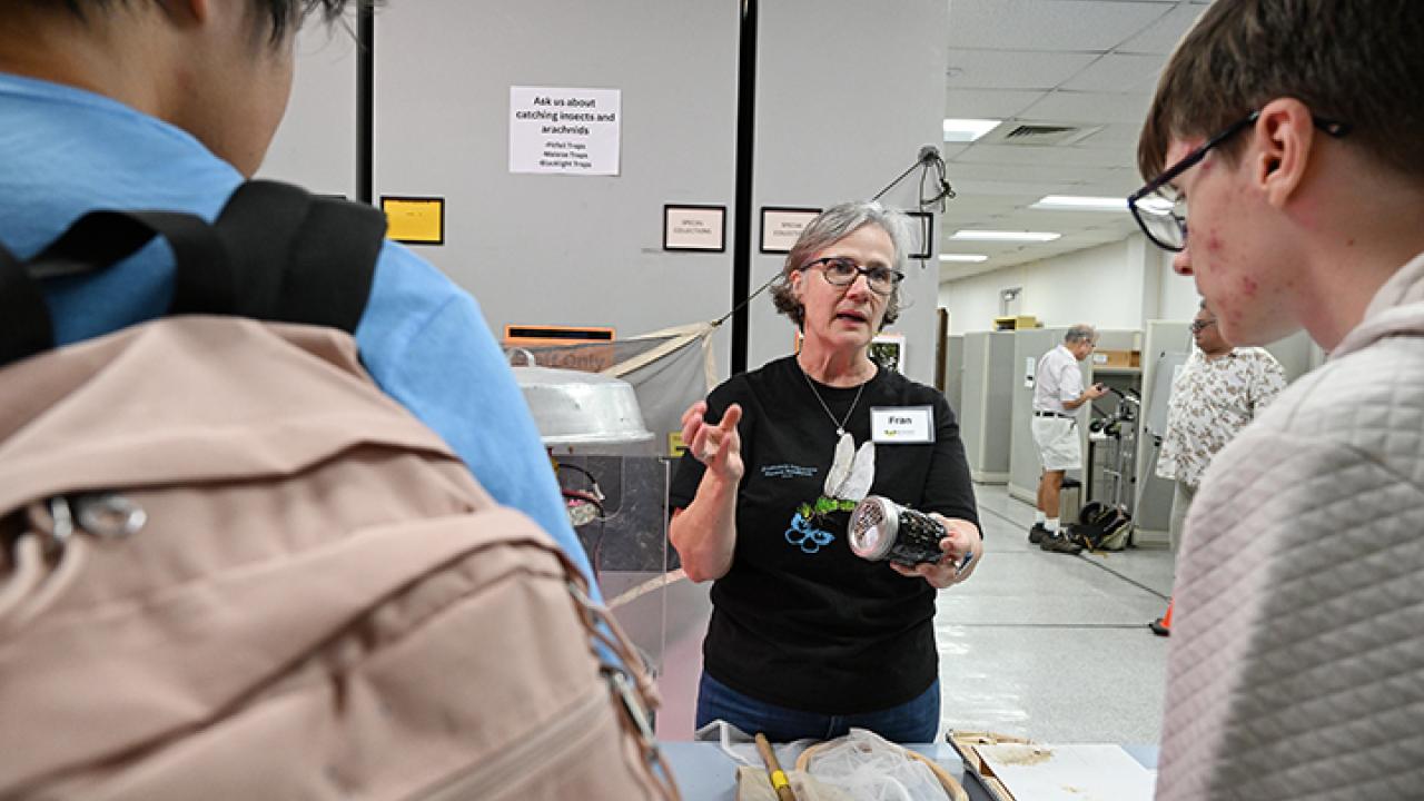Entomologist and UC Davis doctoral alumna Fran Keller, professor at Folsom Lake College and a lecturer with the UC Davis Department of Entomology and Nematology, explaining collection techniques at the Bohart Museum of Entomology open house. (Photo by Kathy Keatley Garvey)