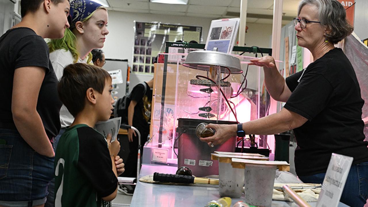 Entomologist Fran Keller, professor at Folsom Lake College and a UC Davis entomology lecturer and Bohart Museum of Entomology research associate, talks to visitors at the Bohart open house. (Photo by Kathy Keatley Garvey)