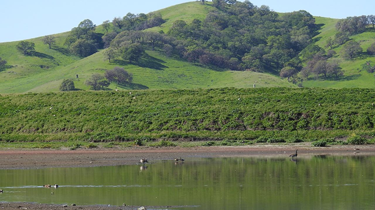 Lagoon Valley landscape, Vacaville.