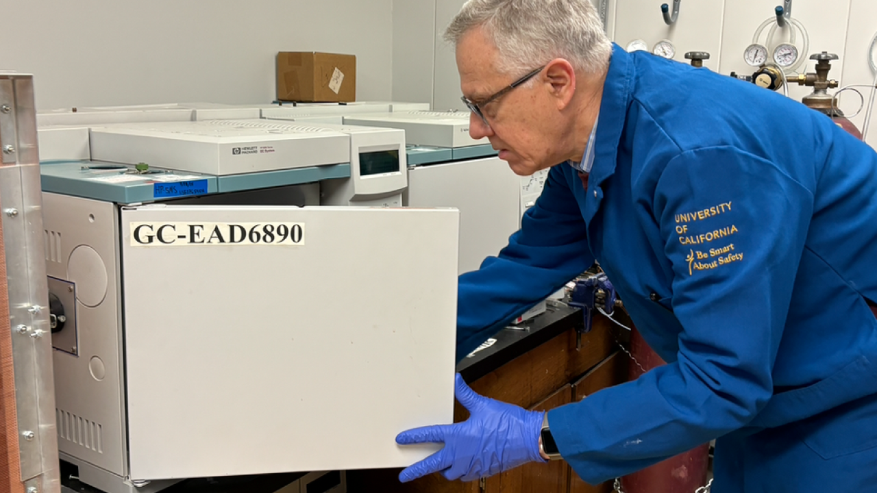 UC Davis distinguished professor Walter Leal preparing to run a GC-EAD analysis, which combines a conventional analytical instrument (gas chromatograph, GC) with an insect antenna-based biological detector (EAD).