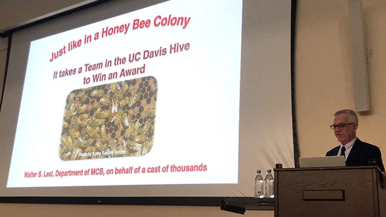 UC Davis distinguished professor Walter Leal delivering Faculty Distinguished Research Lecture