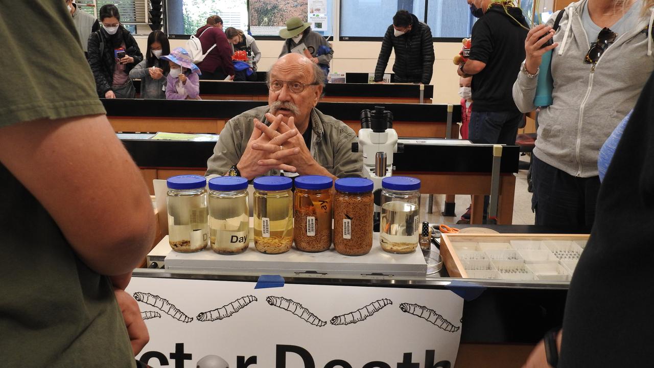 Forensic entomologist Bob Kimsey portraying "Dr. Death" at Briggs Hall during the annual UC Davis Picnic Day. (Photo by Kathy Keatley Garvey)