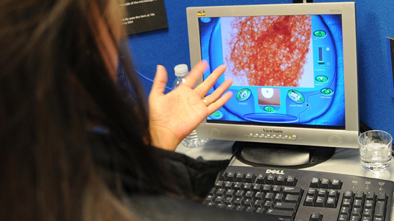 Computer screen showing research