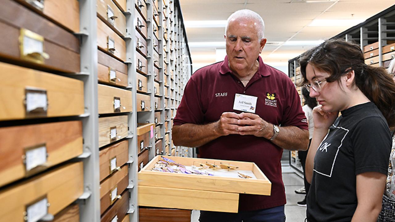 Jeff Smith, curator of the Lepidoptera collection, chats with visitor Rebecca Keely, a biology major at Los Meanos College. (Photo by Kathy Keatley Garvey)