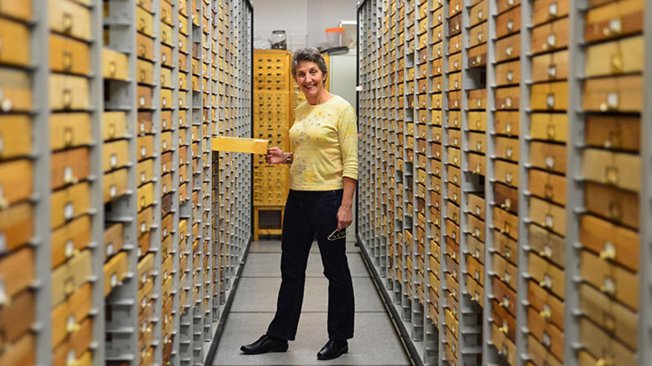 Lynn Kimsey directed the Bohart Museum of Entomology for 34 years (Photo by Kathy Keatley Garvey)