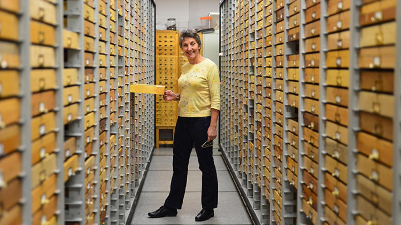 UC Davis distinguished professor emerita Lynn Kimsey directed the Bohart Museum of Entomology for 34 years. (Photo by Kathy Keatley Garvey)