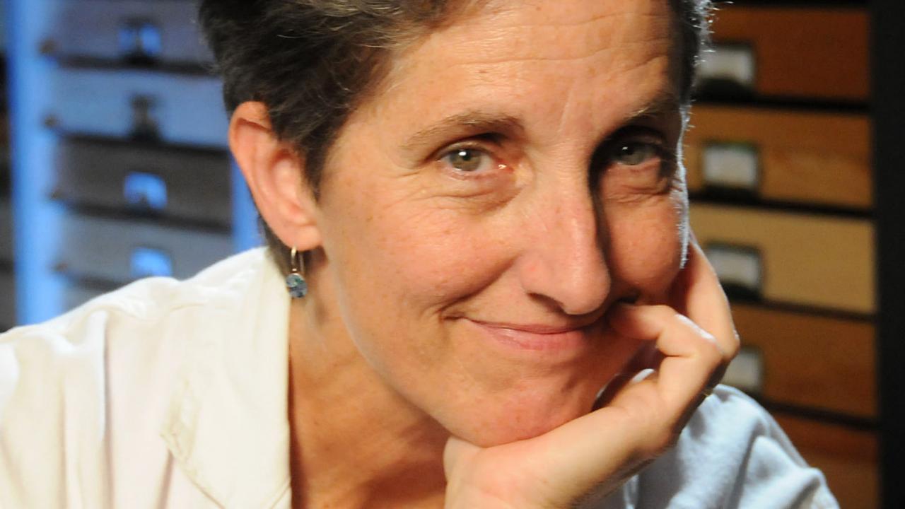 UC Davis Distinguished Professor Emerita Lynn Kimsey is a newly inducted Fellow of the California Academy of Sciences. (Photo by Kathy Keatley Garvey)