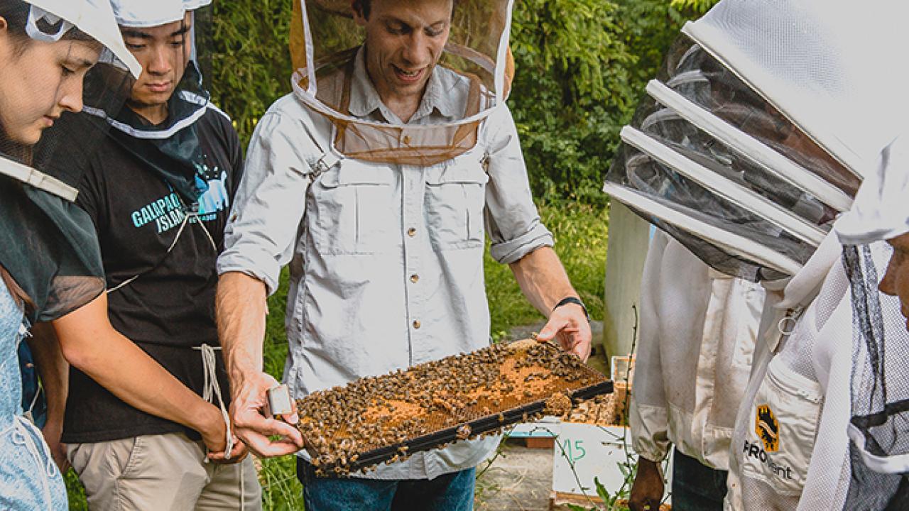 Bee researcher Scott McArt of Cornell University with students.