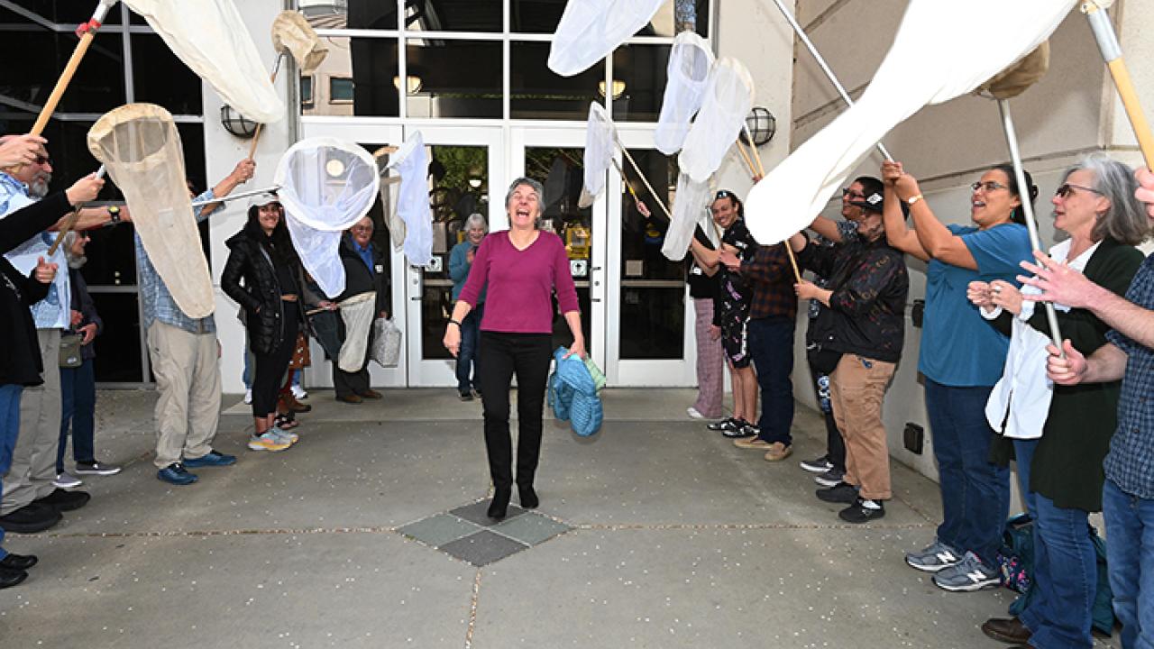 UC Davis distinguished professor emerita Lynn Kimsey walks through the archway of the 21-insect net salute. (Photo by Kathy Keatley Garvey)