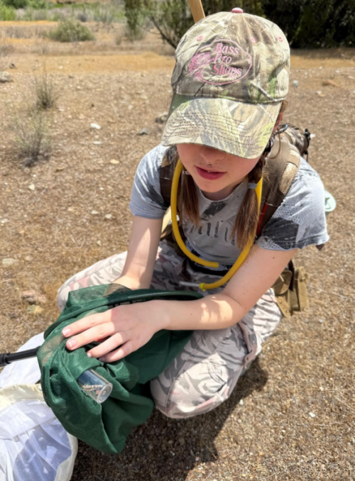 June 2025 ENT Student of the Month: Ellie Stokes