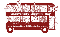One of the previous graphics for Biodiversity Museum Day