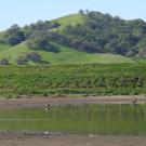  Lagoon Valley landscape, Vacaville. 