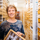 UC Berkeley professor Rosemary Gillespie, who researches spiders, will deliver a seminar, hosted by the UC Davis Department of Entomology and Nematology, at 12:10 p.m., Wednesday, Oct. 22 in 122 Briggs Hall. (Photo courtesy of UC Berkeley)